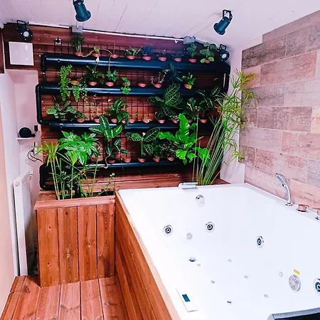 Apartamento Atypique, Et Sauna Privatif - L'enchanteuse *