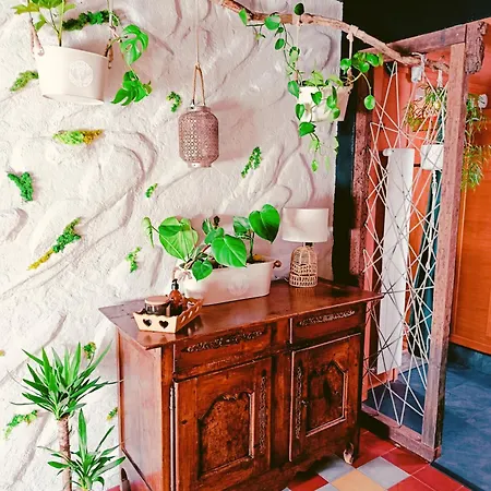 Atypique, Et Sauna Privatif - L'enchanteuse *